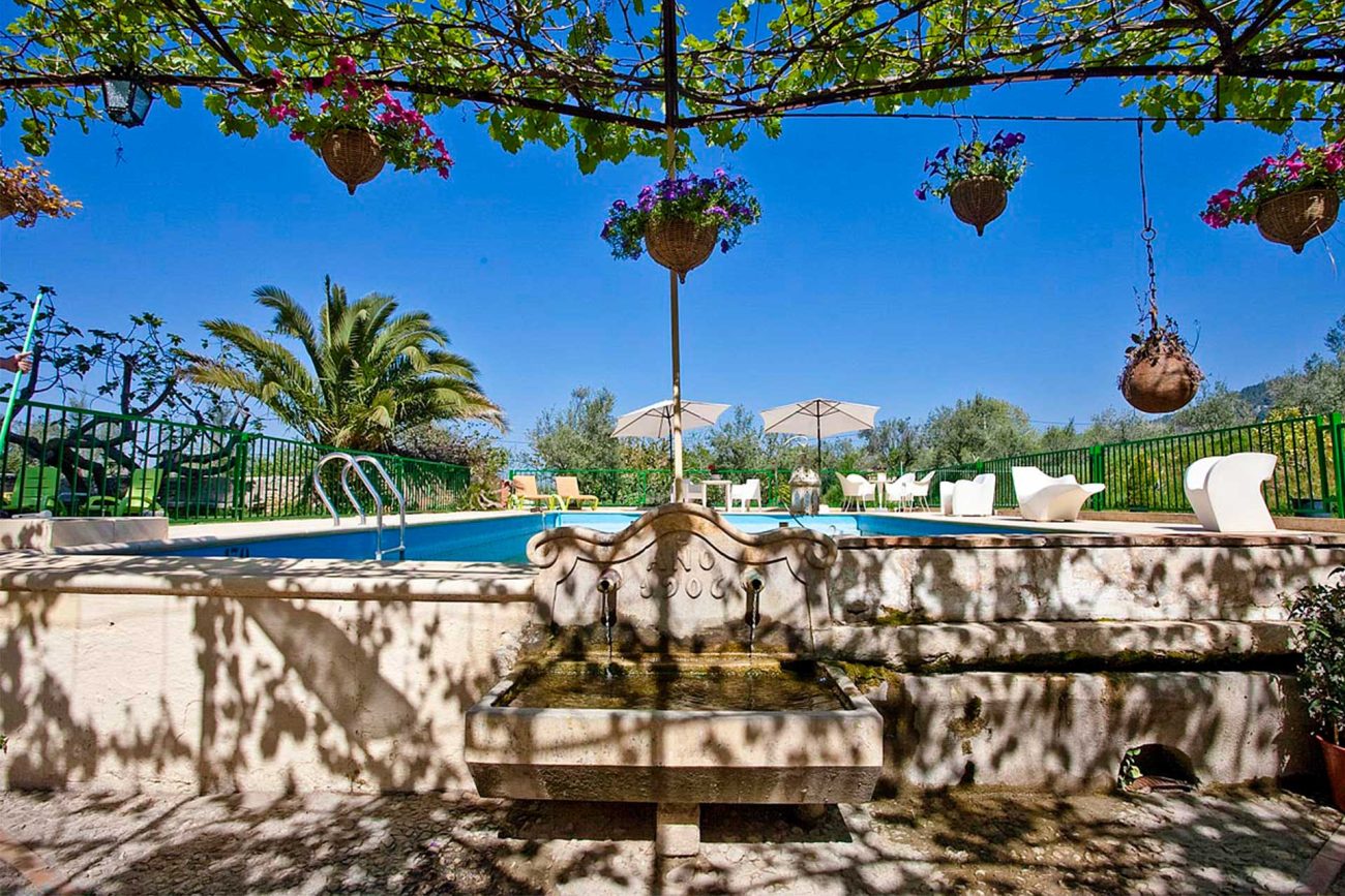 Naturaleza de acampada en Bocairent, 2