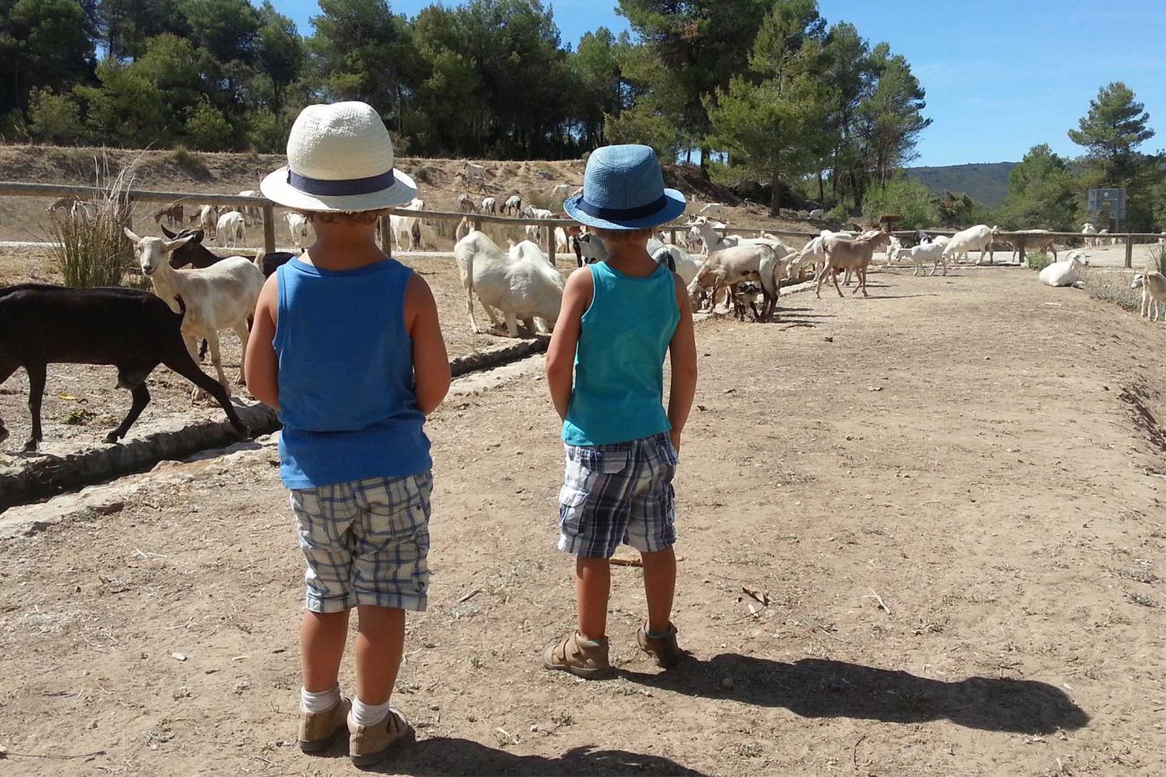 Momentos de acampada y naturaleza en Bocairent